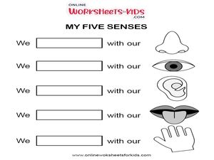 free printable kindergarten science worksheets