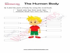free printable science worksheets for grade 2