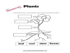 free printable kindergarten science worksheets