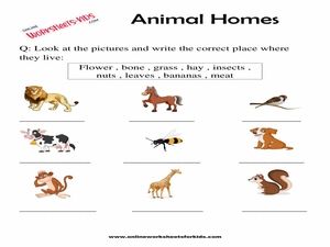 download free printables animal worksheets for grade 1