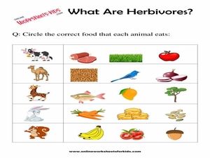 download free printables animal worksheets for grade 1