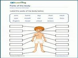 Science Worksheets for Grade 2