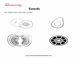 free printable kindergarten science worksheets