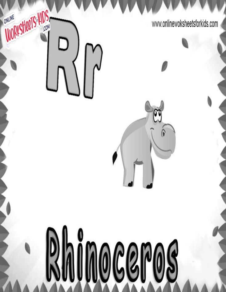 Animal That Starts With R