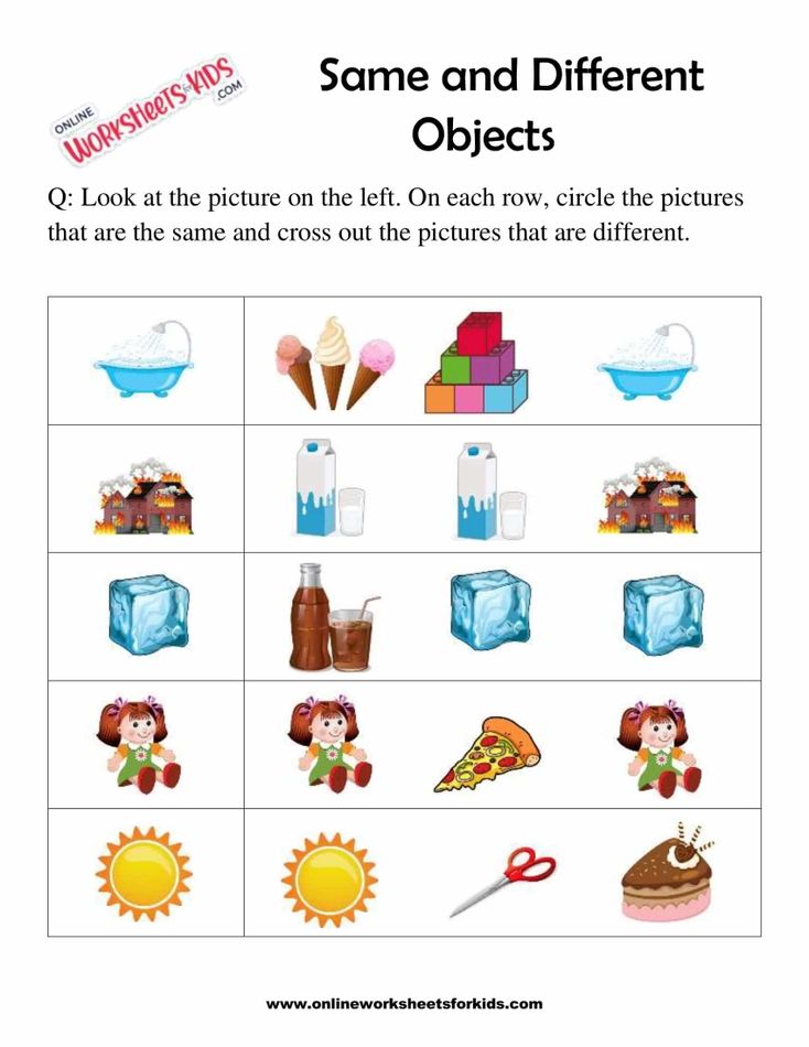 Circle The Object That Is The Same 4