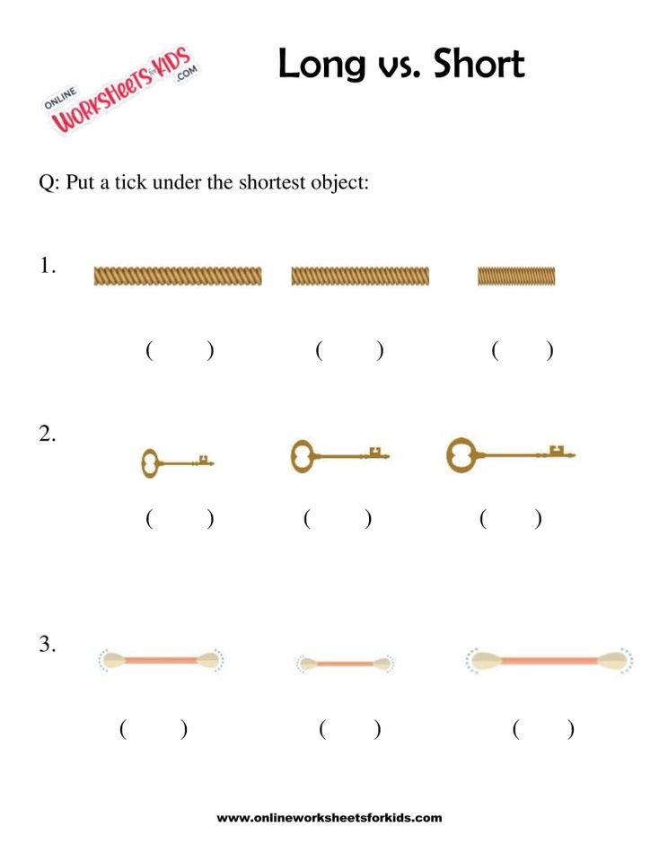 Circle The Longer Or Shorter Object 9