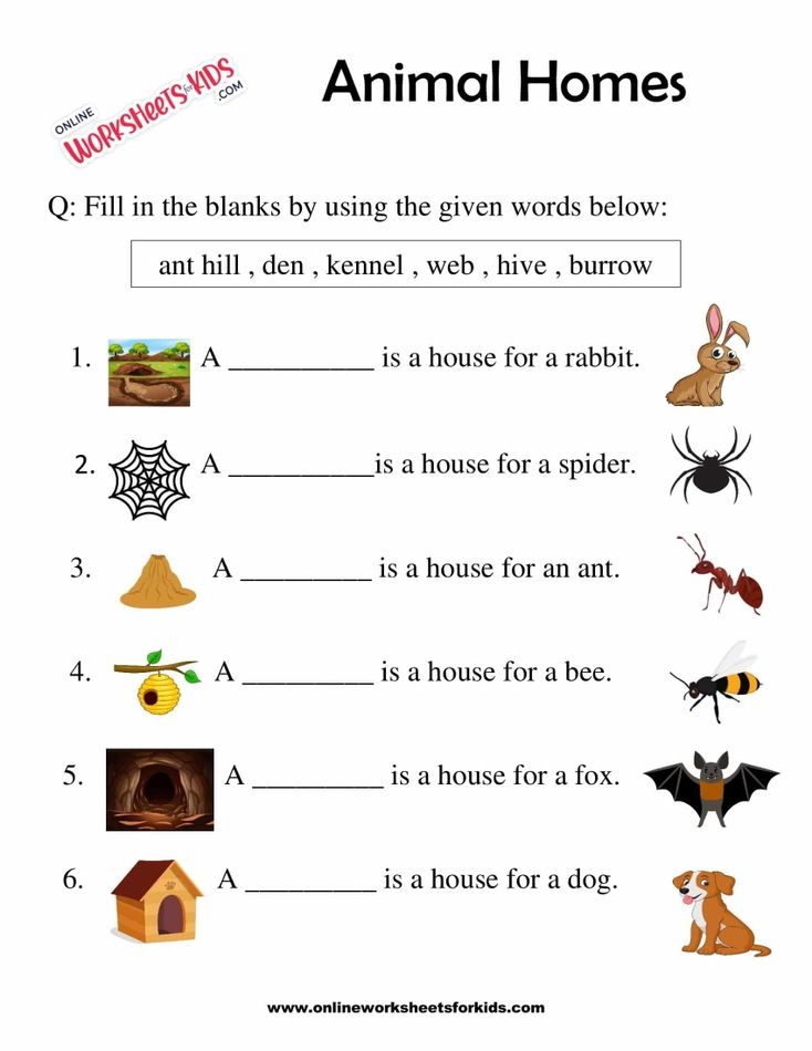 Animal Homes Worksheet for Grade 1-4