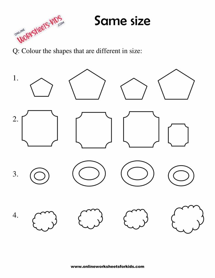 Circle The Picture Which Is The Same Size 10