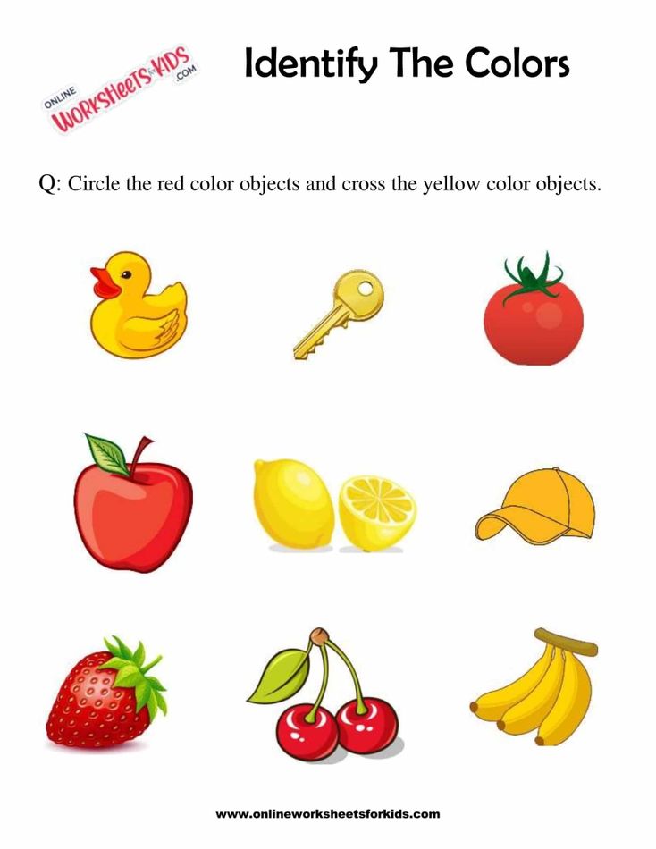 Identify The Colors 2
