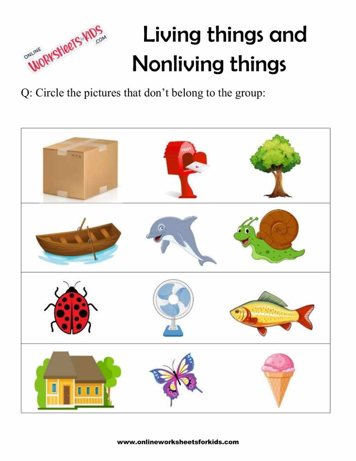 Living Things And Nonliving Things 4