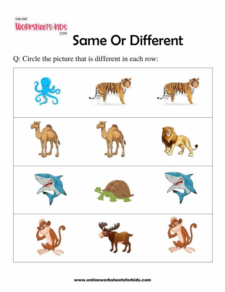 Same Or Different 3