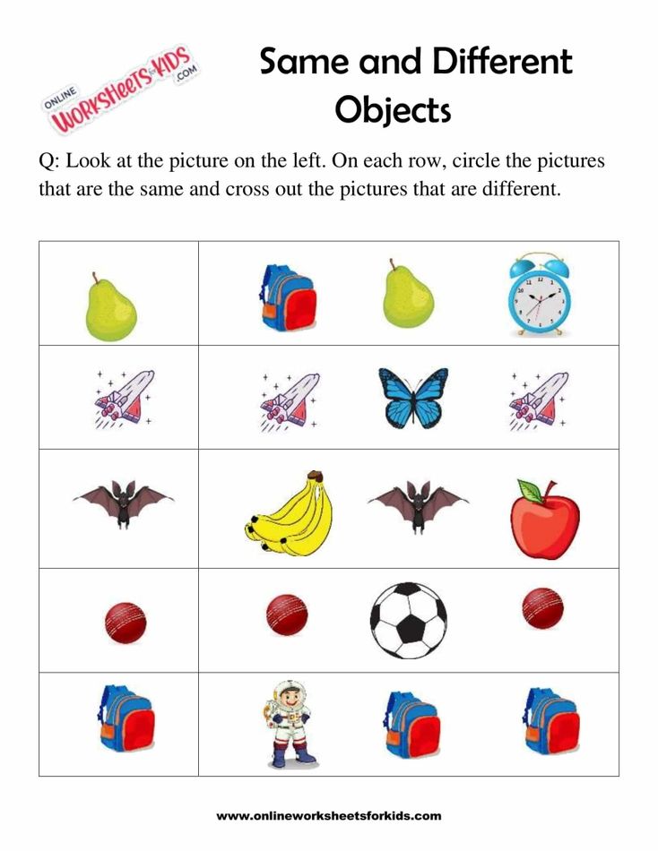 Circle The Object That Is The Same 2