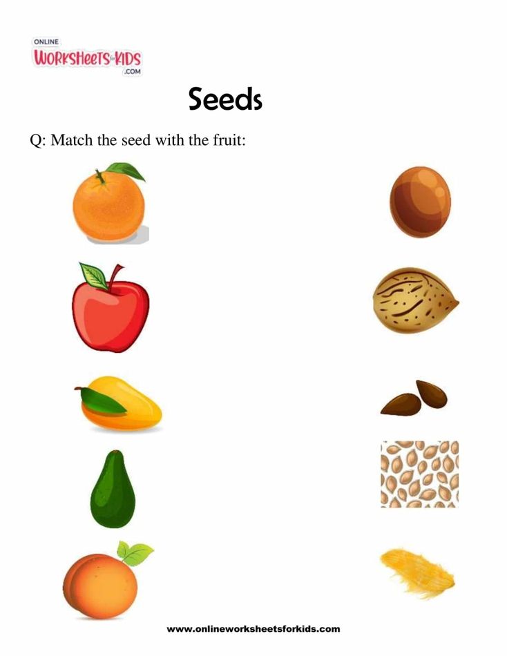 Seeds 3