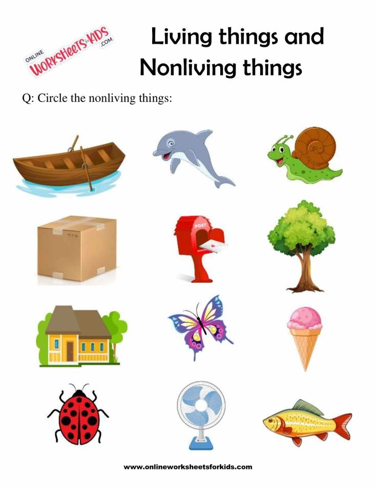 Living Things And Nonliving Things 3