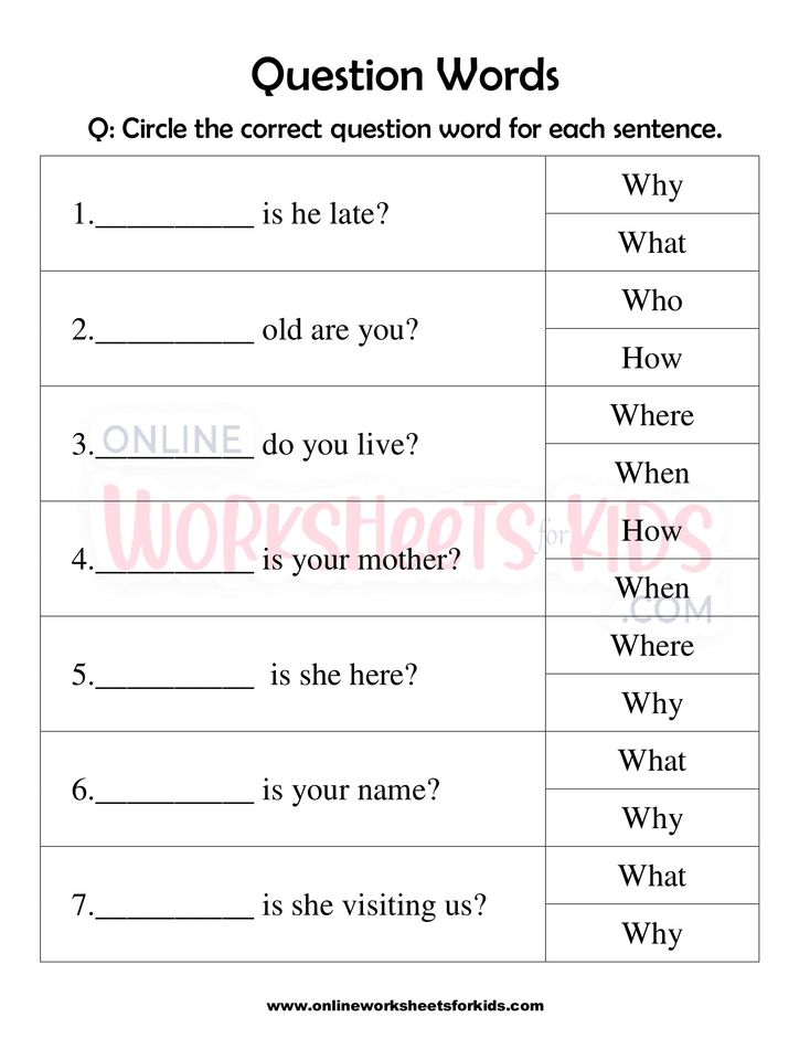 Question word Worksheet for grade 1-1