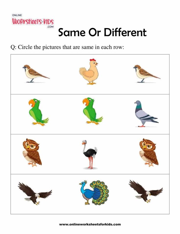 Same Or Different 10