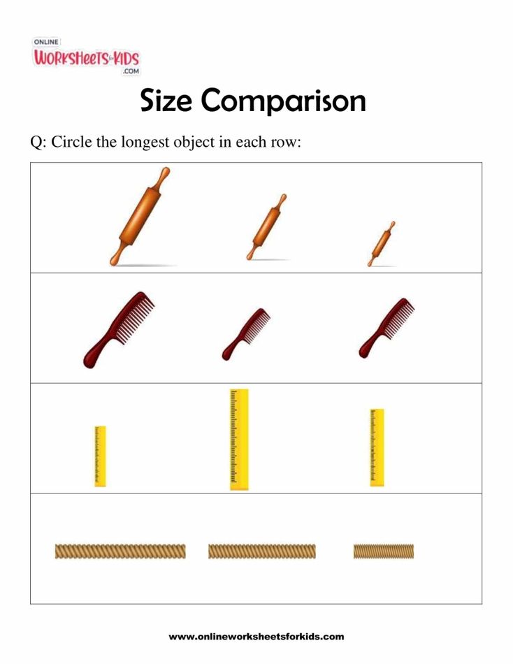 Size Comparison 3