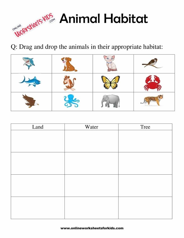 Animal Habitats Worksheets for Grade 1-8