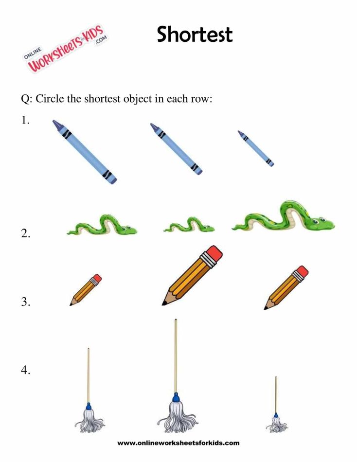 Shortest To Longest Worksheet