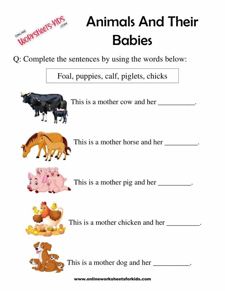 Animal And Their Babies Worksheet for Grade 1-10