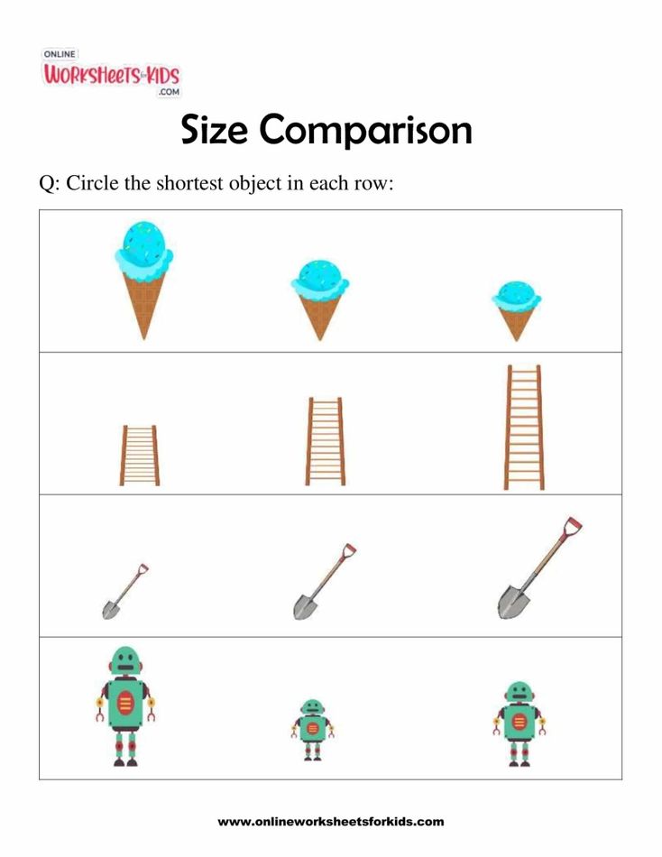 Size Comparison 5