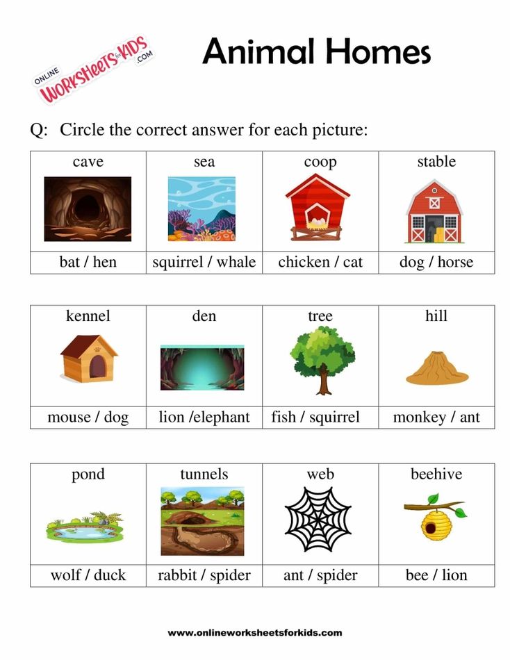 Animal Homes Worksheet for Grade 1-3