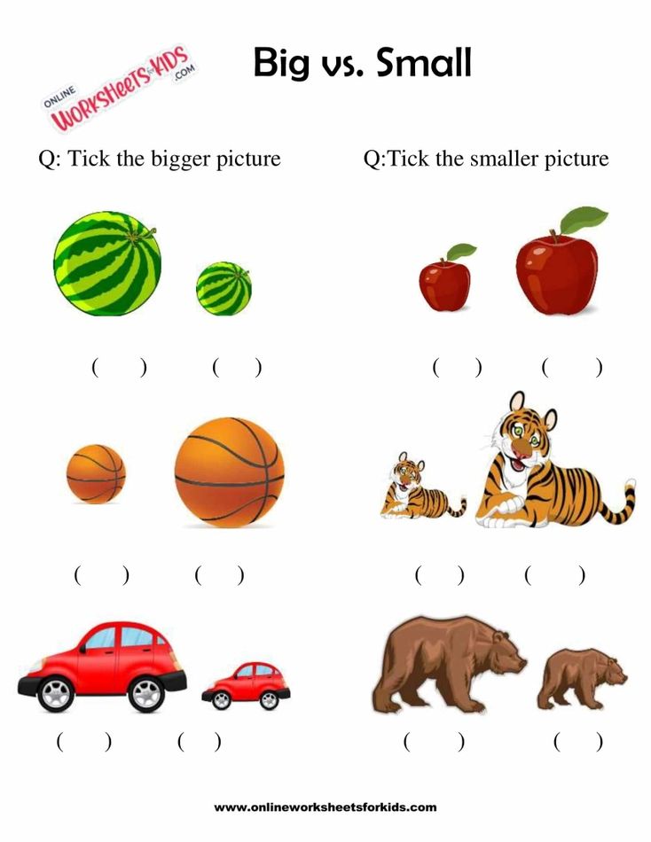 Circle The Shape That Is Bigger Or Smaller 5