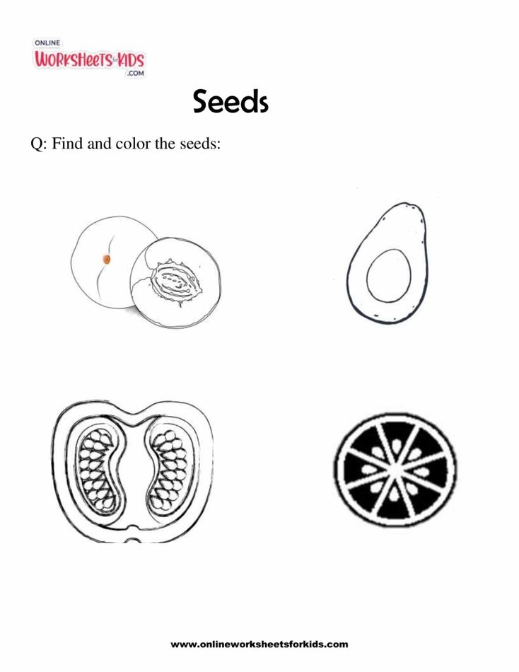Seeds 1