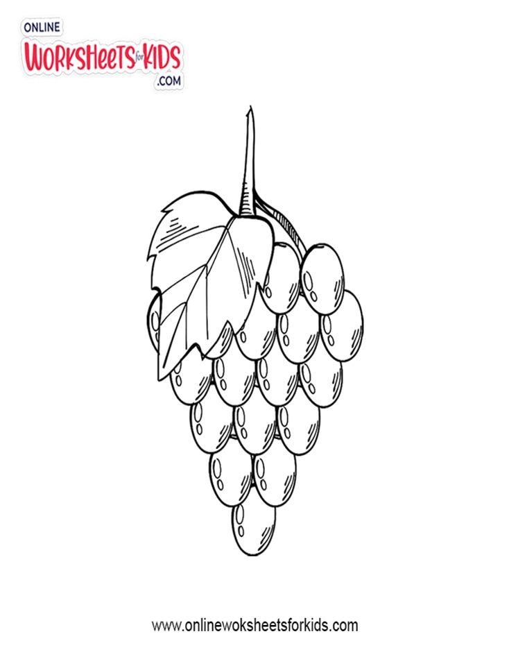Grapes Coloring