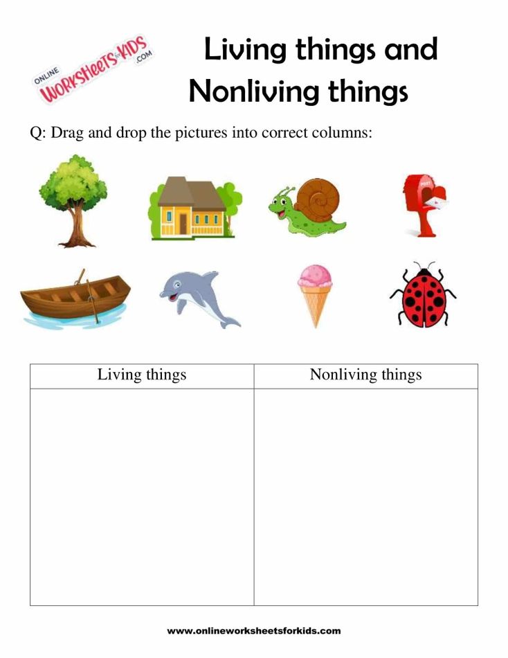Living Things And Nonliving Things 1