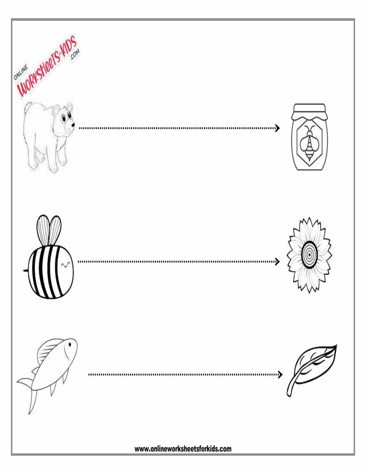 Straight Line Worksheet 3