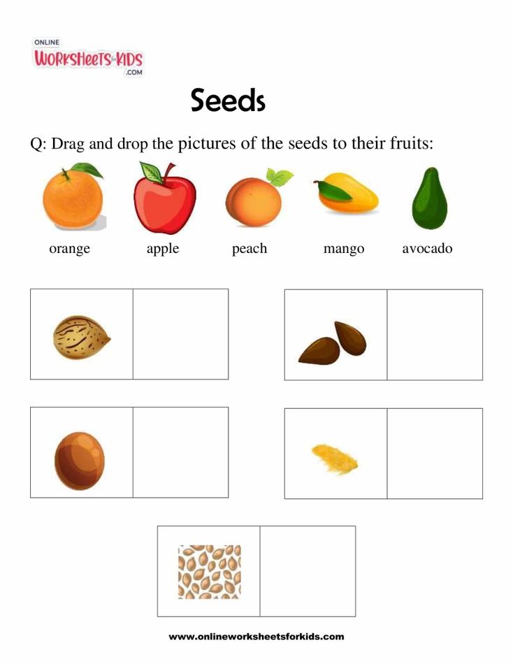 Seeds 5