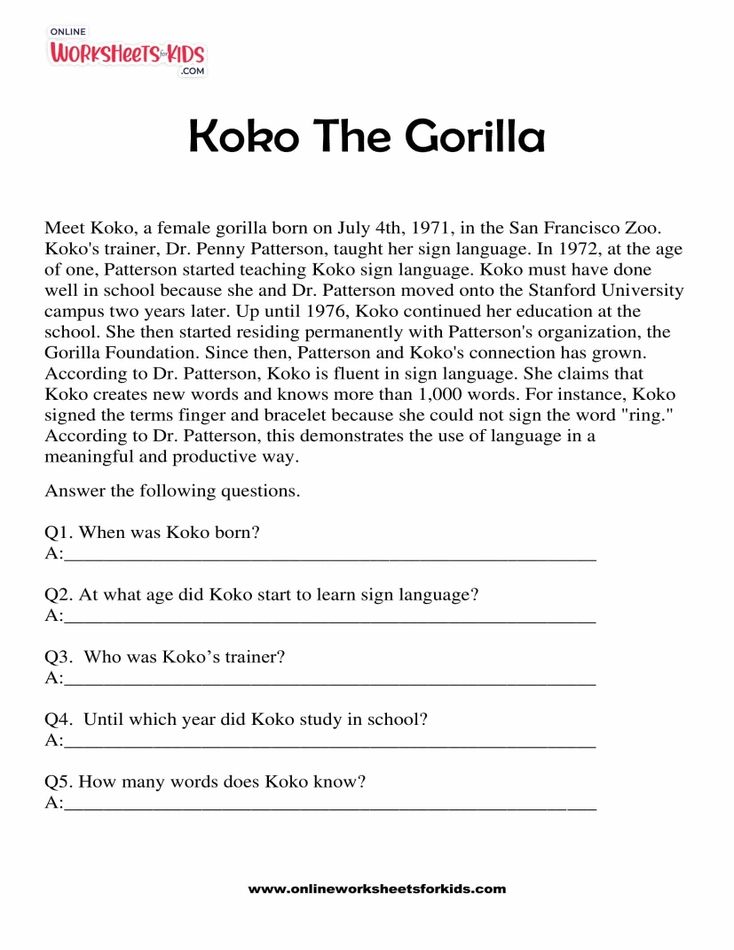 Koko The Gorilla