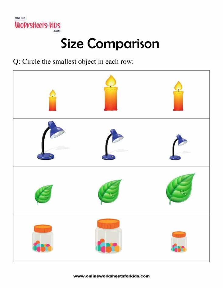 Size Comparison 2