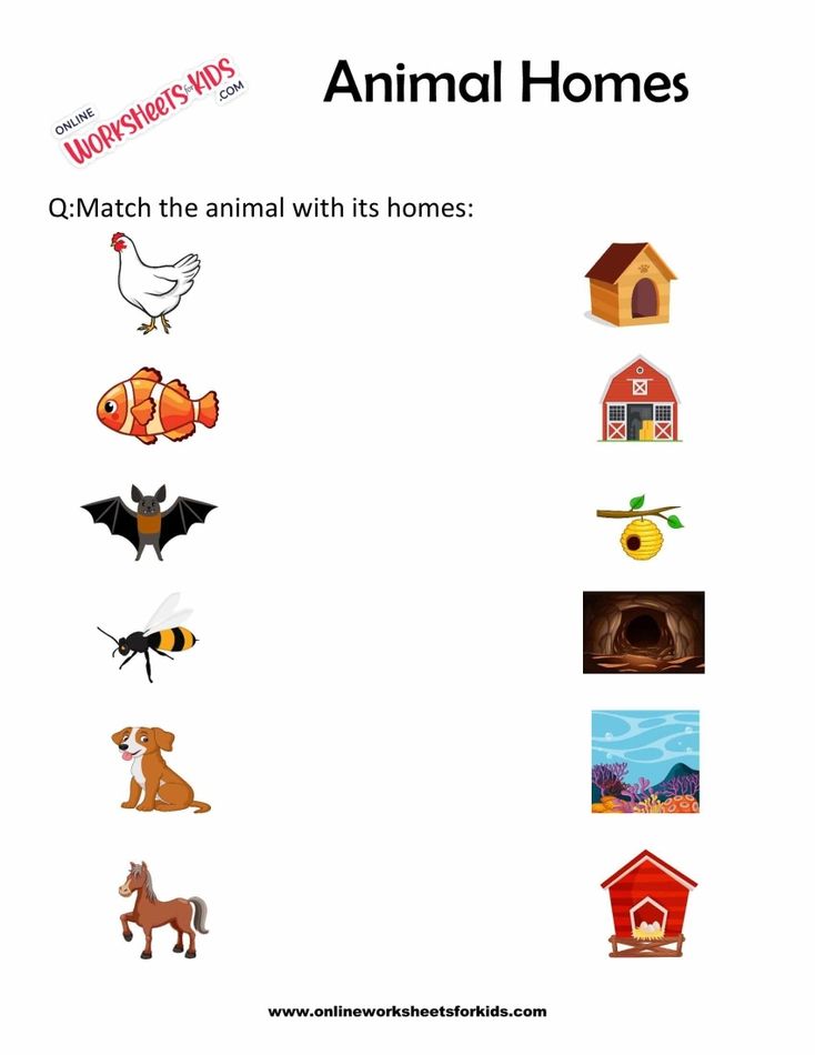Animal Homes Worksheet for Grade 1-2
