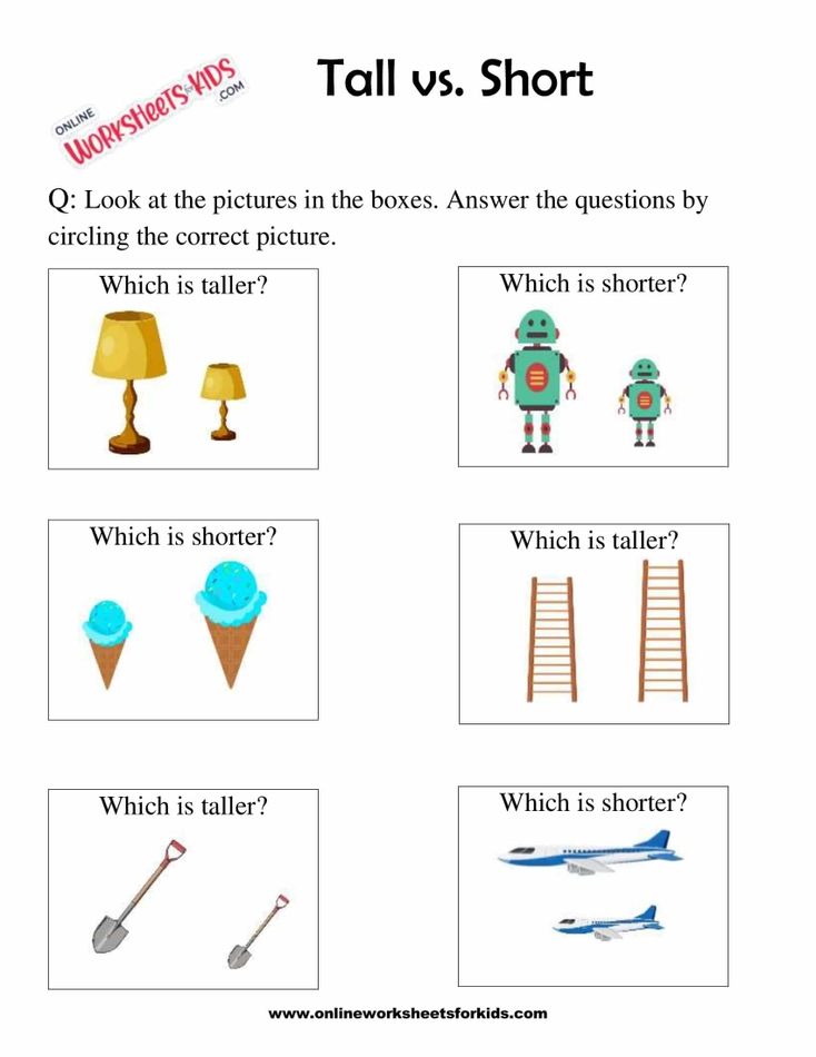 Circle The Taller Or Shorter Object Worksheets for Kids