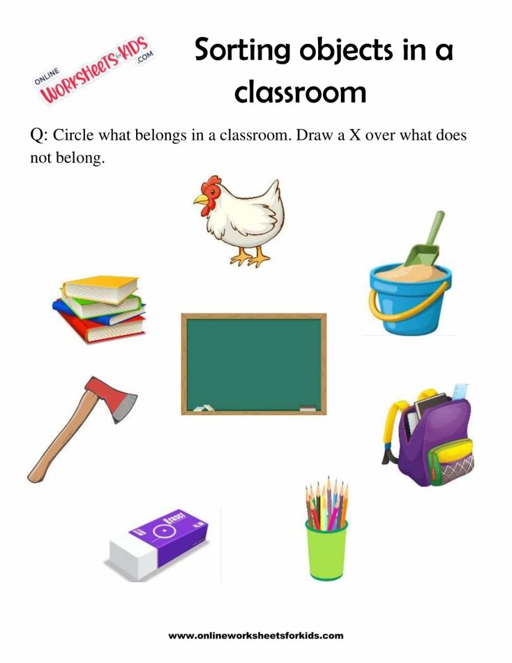 Sort The Objects 6