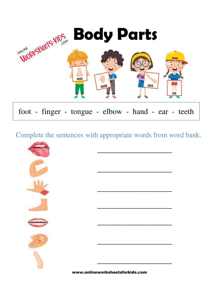 Body Parts Worksheet 3