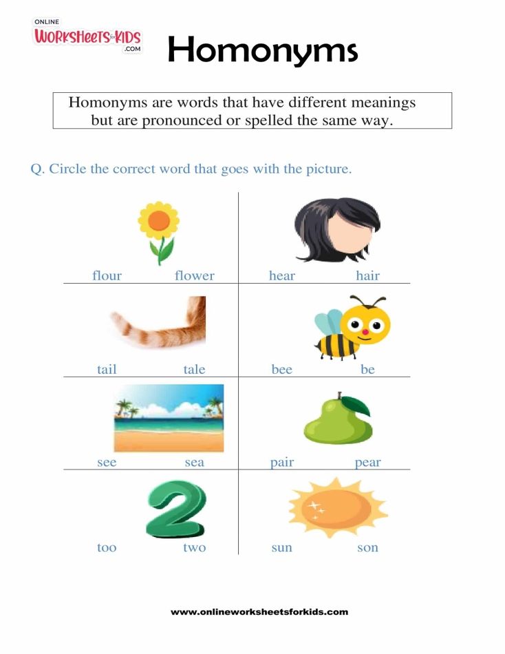 Homonyms Worksheets
