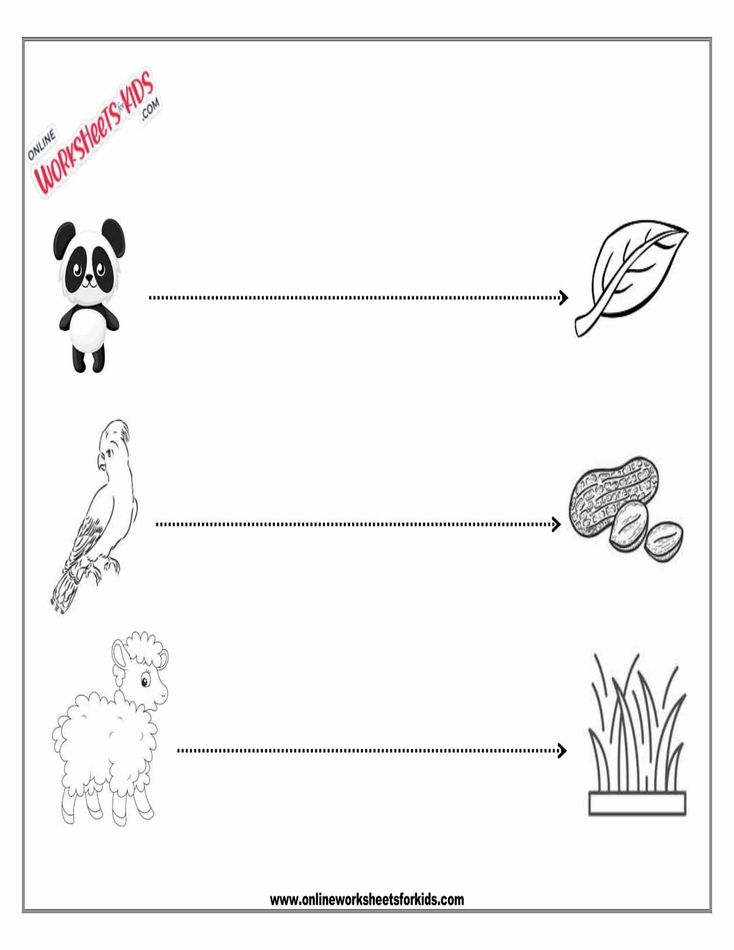 Straight Line Worksheet 5