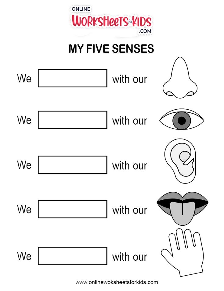 5 Senses (a)