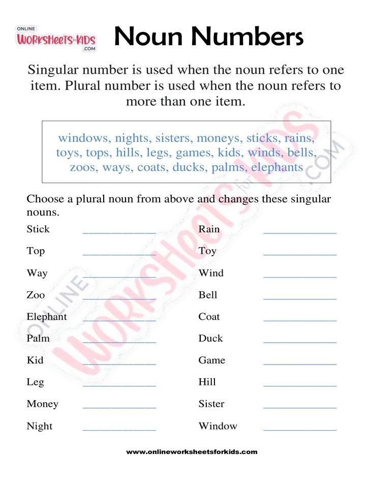 Noun Numbers 10