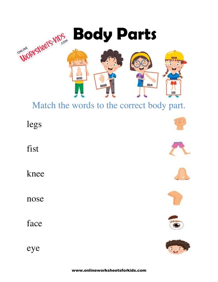 Body Parts Worksheet 2