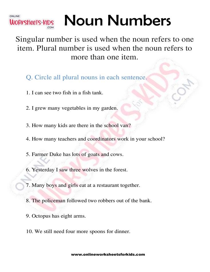Noun Numbers 04