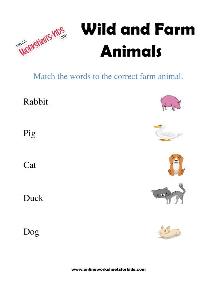 Wild And Farm Animals Worksheets 5