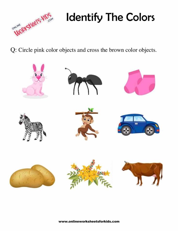 Identify The Colors 3
