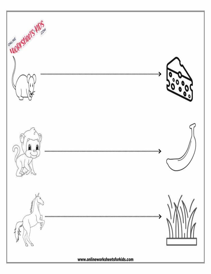 Straight Line Worksheet 4