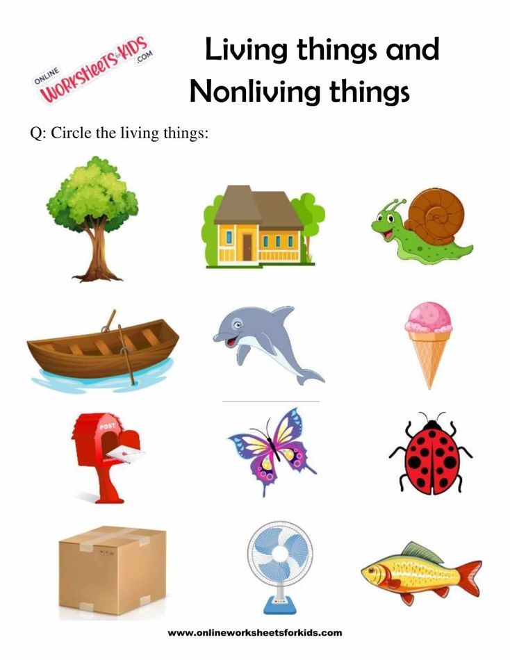 Living Things And Nonliving Things 2