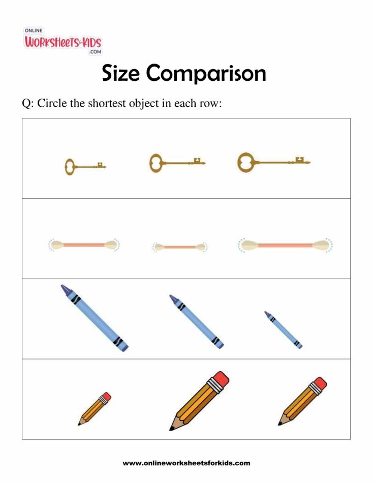 Size Comparison 4