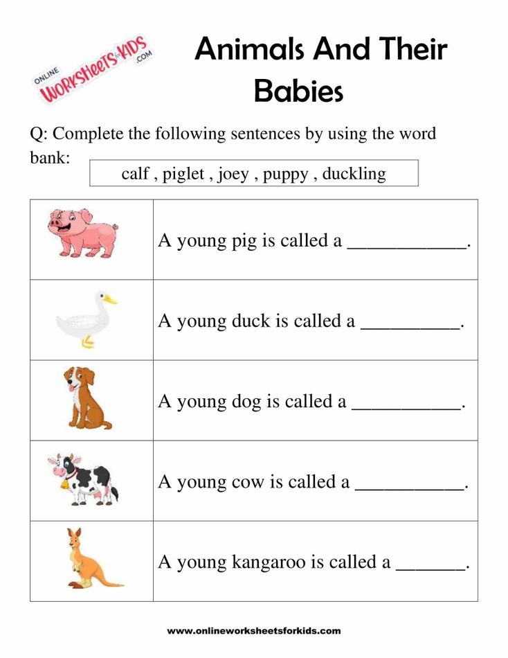 Animal And Their Babies Worksheet for Grade 1-2